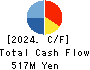 WITZ Corporation Cash Flow Statement 2024年8月期