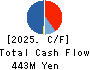 STUDIO ATAO Co.,Ltd. Cash Flow Statement 2025年Feb期 STUDIO ATAO Co.,Ltd. Cash Flow Statement 2025年2月期