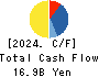 Yamatane Corporation Cash Flow Statement 2024年3月期
