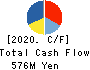CELM,Inc. Cash Flow Statement 2020年Mar期 CELM,Inc. Cash Flow Statement 2020年3月期