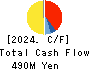 YRGLM Inc. Cash Flow Statement 2024年9月期