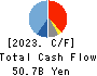 HOSHIZAKI CORPORATION Cash Flow Statement 2023年12月期