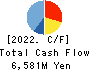 Shinki Bus Co., Ltd. Cash Flow Statement 2022年3月期