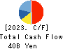 TOKYO STEEL MANUFACTURING CO., LTD. Cash Flow Statement 2023年3月期