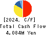 Ryoyu Systems Co.,Ltd. Cash Flow Statement 2024年3月期
