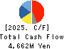 HOKURIKU ELECTRIC INDUSTRY CO., LTD. Cash Flow Statement 2025年Mar期 HOKURIKU ELECTRIC INDUSTRY CO., LTD. Cash Flow Statement 2025年3月期