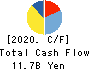 C.Uyemura & Co.,Ltd. Cash Flow Statement 2020年3月期
