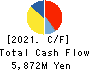 TAIYO KAGAKU CO.,LTD. Cash Flow Statement 2021年3月期