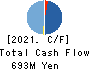 Copa Corporation Inc. Cash Flow Statement 2021年3月期