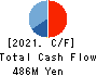 Confidence Inc. Cash Flow Statement 2021年Mar期 Confidence Inc. Cash Flow Statement 2021年3月期