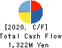 OHIZUMI MFG.CO.,LTD. Cash Flow Statement 2020年3月期