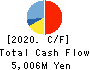DAIKOKU DENKI CO.,LTD. Cash Flow Statement 2020年3月期