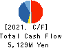 Nippon Dry-Chemical CO.,LTD. Cash Flow Statement 2021年3月期