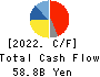 Yokogawa Electric Corporation Cash Flow Statement 2022年3月期