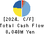 Inui Global Logistics Co., Ltd. Cash Flow Statement 2024年Mar期 Inui Global Logistics Co., Ltd. Cash Flow Statement 2024年3月期