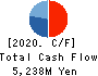 KAWASAKI KINKAI KISEN KAISHA,LTD. Cash Flow Statement 2020年3月期