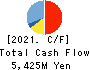 YAMATO CORPORATION Cash Flow Statement 2021年3月期
