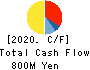 Japan Ecosystem Co.,Ltd. Cash Flow Statement 2020年9月期