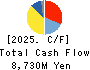 Hodogaya Chemical Co.,Ltd. Cash Flow Statement 2025年3月期