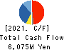 OKAMOTO MACHINE TOOL WORKS,LTD. Cash Flow Statement 2021年3月期
