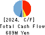 DAIWA COMPUTER CO.,LTD. Cash Flow Statement 2024年Jul期 DAIWA COMPUTER CO.,LTD. Cash Flow Statement 2024年7月期