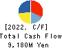 SHIN NIPPON BIOMEDICAL LABORATORIES,LTD. Cash Flow Statement 2022年Mar期 SHIN NIPPON BIOMEDICAL LABORATORIES,LTD. Cash Flow Statement 2022年3月期