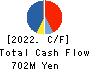 TOHO KINZOKU CO.,LTD. Cash Flow Statement 2022年3月期