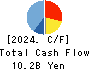 TOHOKUSHINSHA FILM CORPORATION Cash Flow Statement 2024年3月期