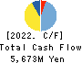 TOMOE CORPORATION Cash Flow Statement 2022年3月期