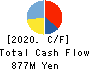 KAWAGUCHI CHEMICAL INDUSTRY CO.,LTD. Cash Flow Statement 2020年11月期
