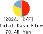 GS Yuasa Corporation Cash Flow Statement 2024年3月期