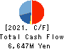 MATSUOKA CORPORATION Cash Flow Statement 2021年3月期