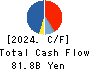 KANSAI PAINT CO.,LTD. Cash Flow Statement 2024年Mar期 KANSAI PAINT CO.,LTD. Cash Flow Statement 2024年3月期