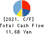 MITSUI MATSUSHIMA HOLDINGS CO., LTD. Cash Flow Statement 2021年Mar期 MITSUI MATSUSHIMA HOLDINGS CO., LTD. Cash Flow Statement 2021年3月期