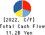 RIKEN VITAMIN CO.,LTD. Cash Flow Statement 2022年3月期