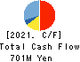 ULURU.CO.,LTD. Cash Flow Statement 2021年3月期