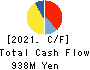 Advantage Risk Management Co.,Ltd. Cash Flow Statement 2021年Mar期 Advantage Risk Management Co.,Ltd. Cash Flow Statement 2021年3月期