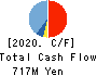 KYOWA ENGINEERING CONSULTANTS CO.,LTD. Cash Flow Statement 2020年Nov期 KYOWA ENGINEERING CONSULTANTS CO.,LTD. Cash Flow Statement 2020年11月期