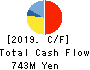 TEIN, INC. Cash Flow Statement 2019年Mar期 TEIN, INC. Cash Flow Statement 2019年3月期