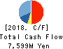 PASCO CORPORATION Cash Flow Statement 2018年Mar期 PASCO CORPORATION Cash Flow Statement 2018年3月期