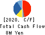 YCP Holdings Cash Flow Statement 2020年Dec期 YCP Holdings Cash Flow Statement 2020年12月期