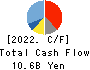 HOSOKAWA MICRON CORPORATION Cash Flow Statement 2022年9月期