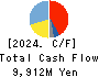 DAISHINKU CORP. Cash Flow Statement 2024年3月期