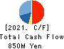 Double Standard Inc. Cash Flow Statement 2021年Mar期 Double Standard Inc. Cash Flow Statement 2021年3月期