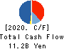 DOSHISHA CO.,LTD. Cash Flow Statement 2020年3月期