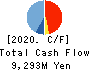 SEIKAGAKU CORPORATION Cash Flow Statement 2020年3月期