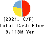 KYOKUTO SECURITIES CO.,LTD. Cash Flow Statement 2021年3月期