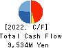 AS ONE CORPORATION Cash Flow Statement 2022年Mar期 AS ONE CORPORATION Cash Flow Statement 2022年3月期