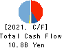 DOSHISHA CO.,LTD. Cash Flow Statement 2021年3月期