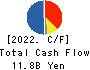MITSUI MATSUSHIMA HOLDINGS CO., LTD. Cash Flow Statement 2022年Mar期 MITSUI MATSUSHIMA HOLDINGS CO., LTD. Cash Flow Statement 2022年3月期